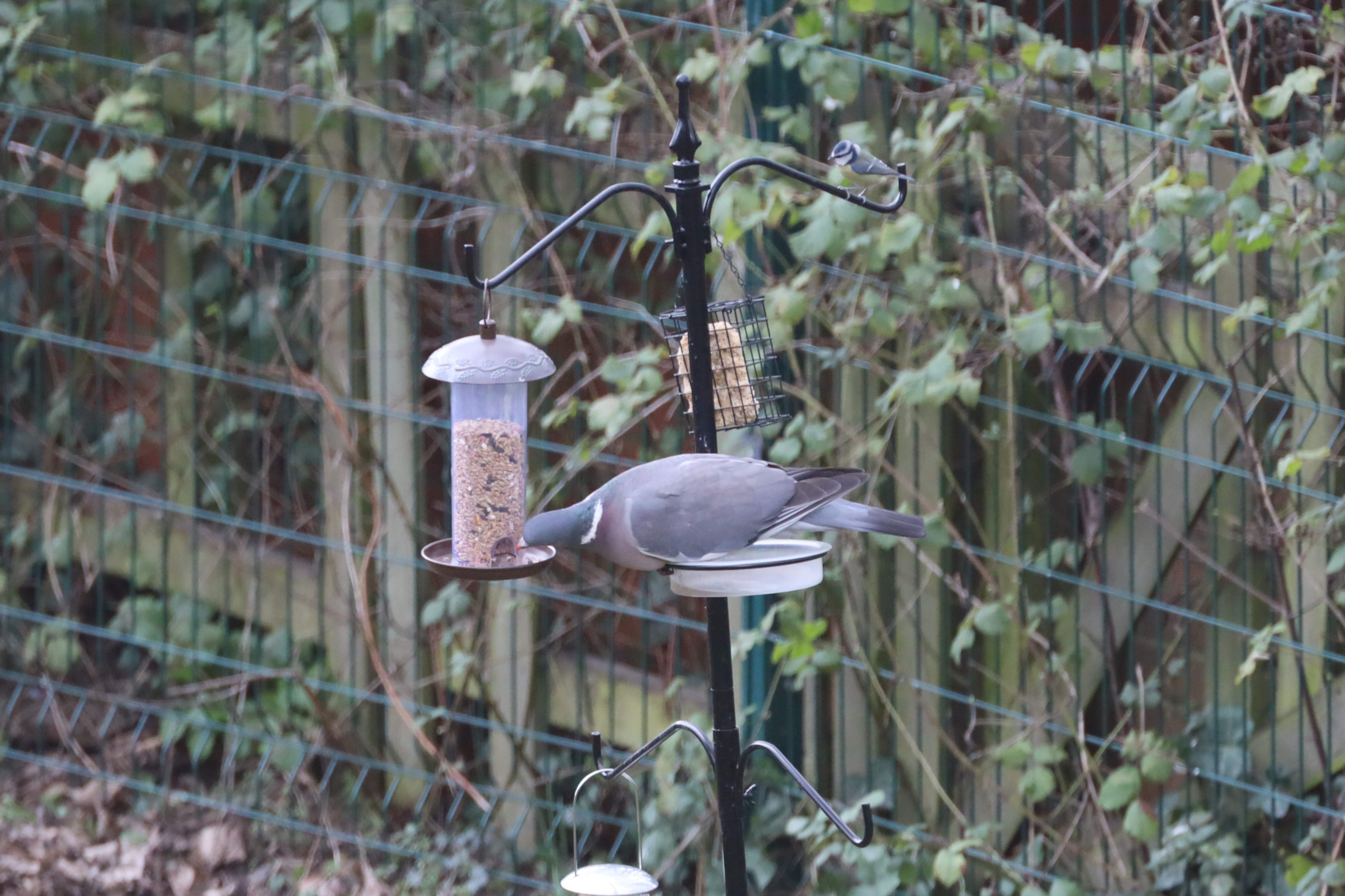 img pr sustainability week 2026 2